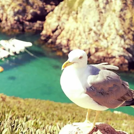 Casa Moinho Do Oeste - West Windmill Portugal *