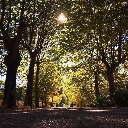 بيت للعطل Casa Moinho Do Oeste - West Windmill Portugal Moledo (Lisbon)