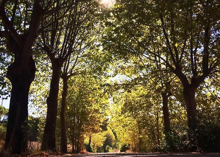 Дом отдыха Casa Moinho Do Oeste - West Windmill Portugal Moledo (Lisbon)